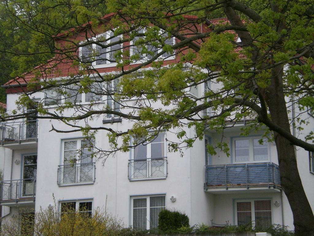 Ferienwohnung In Sassnitz Ruegen Naehe Weltnaturerbe Kreidekueste Exterior foto