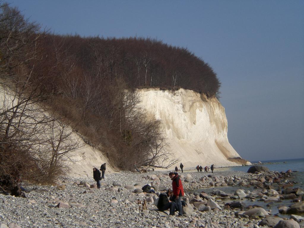 Ferienwohnung In Sassnitz Ruegen Naehe Weltnaturerbe Kreidekueste Exterior foto