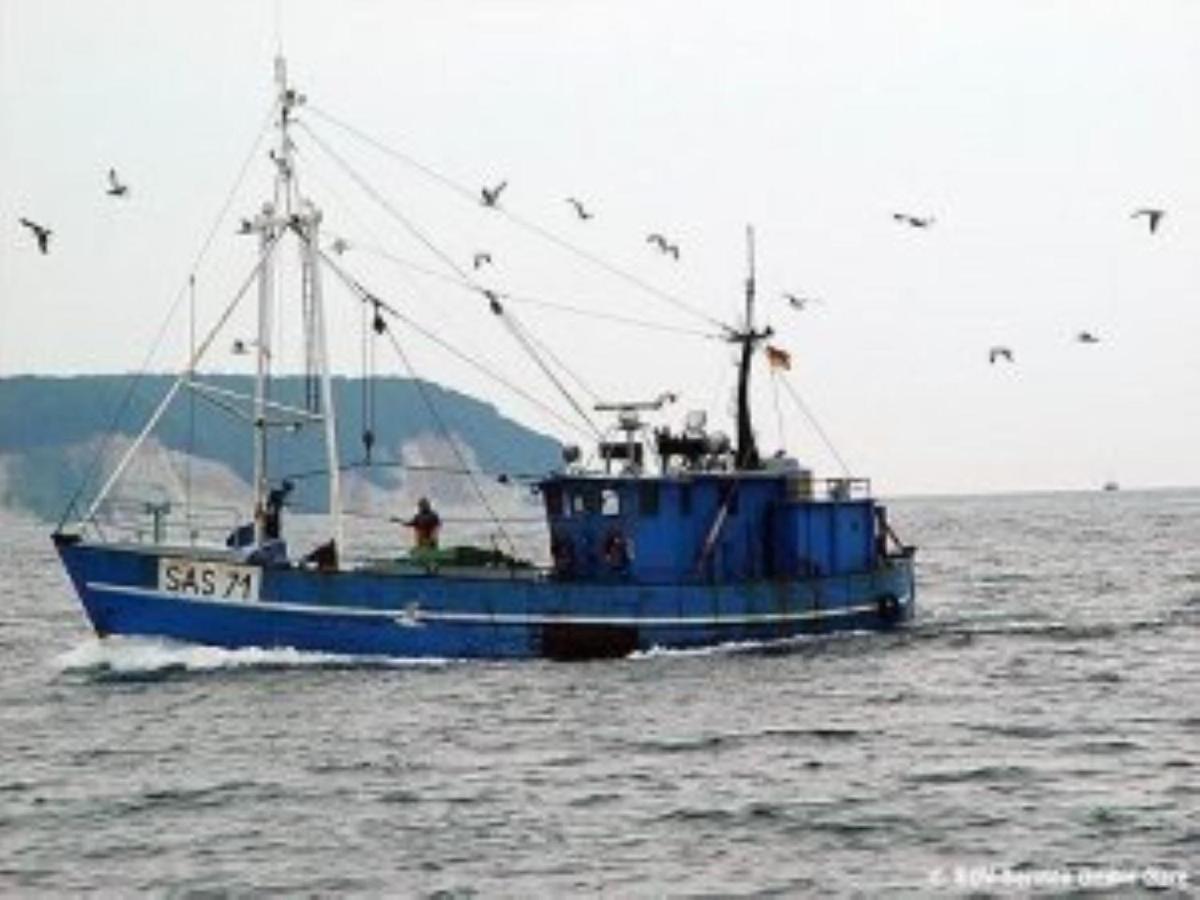 Ferienwohnung In Sassnitz Ruegen Naehe Weltnaturerbe Kreidekueste Exterior foto
